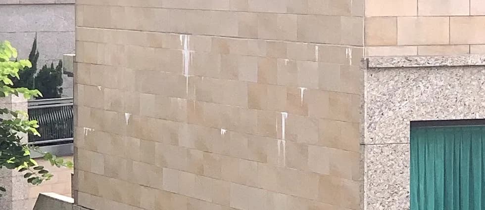 leakage